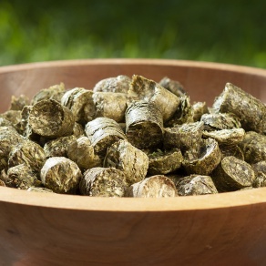 Landschildkröten Futter