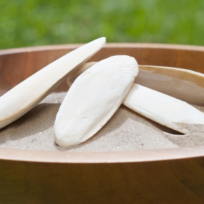 Landschildkröten Zubehör